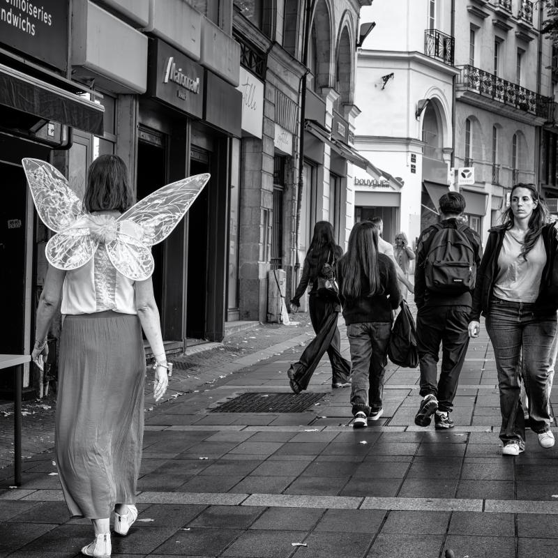 La femme papillon