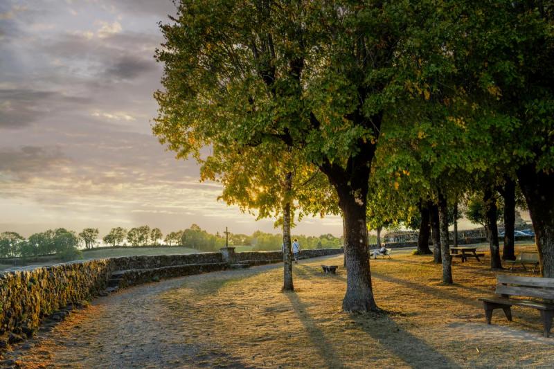 Une place plantée de marronniers au soleil couchant