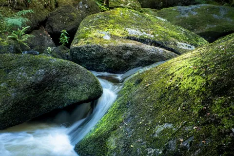 Petite chute d'eau prise en vitesse lente