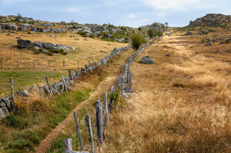 Chemin dans l'Aubrac