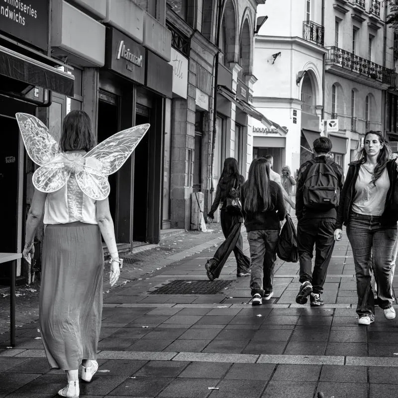 La femme papillon